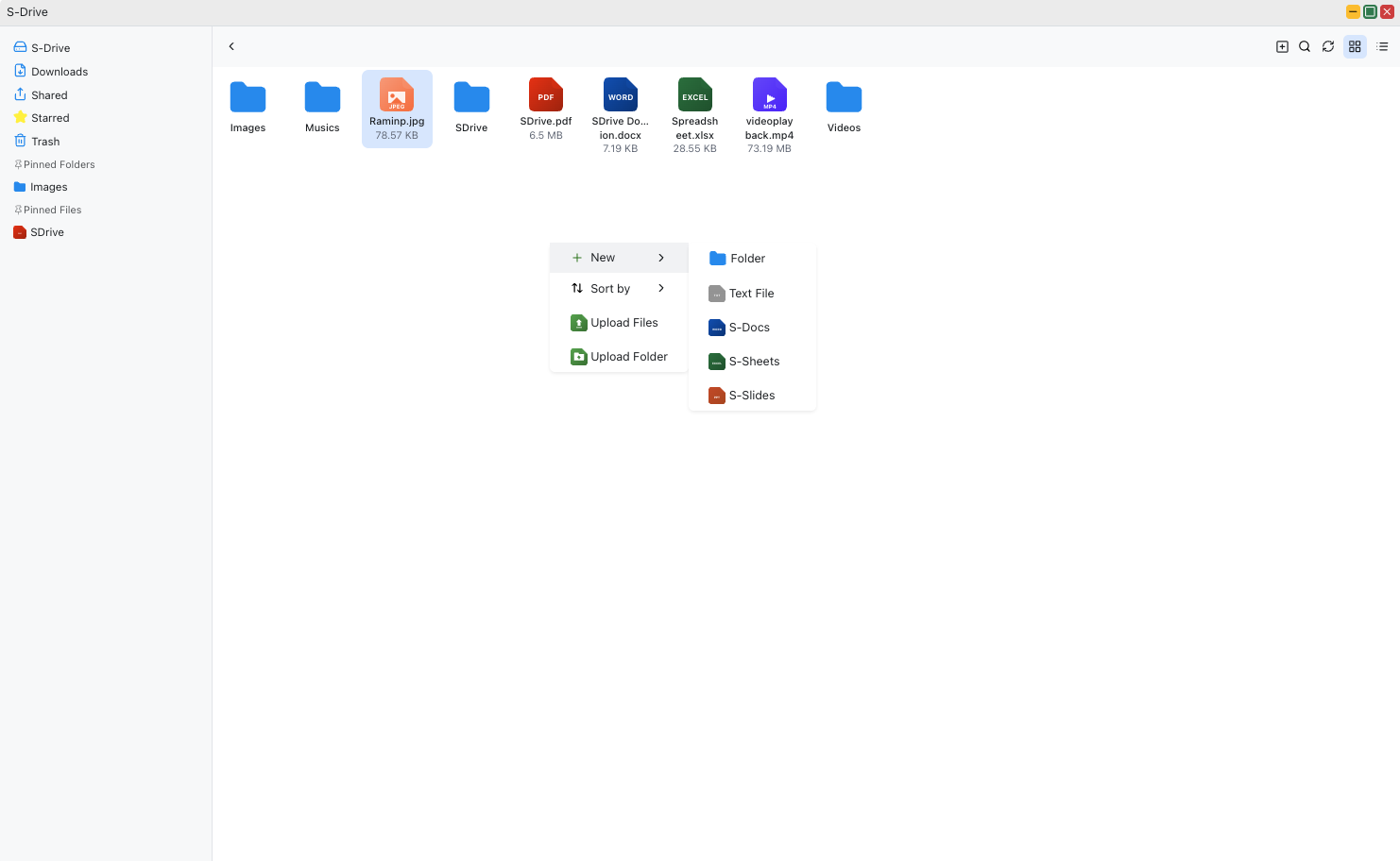 S-Drive File Management Interface